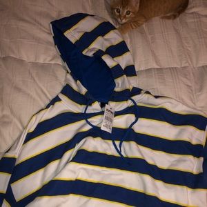 Zumiez Striped Cropped Hoodie